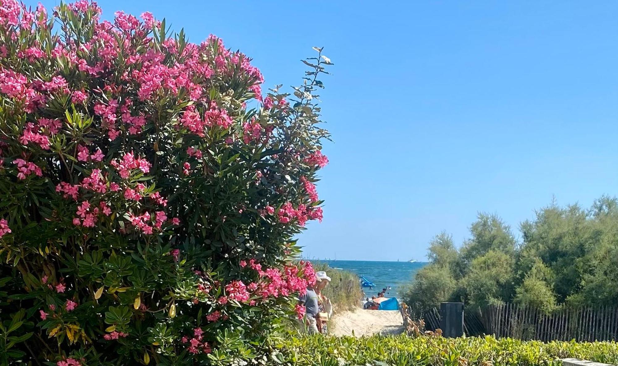 Apartment Bord De Mer: Soleil, Et Grande Terrasse Pour Instants De Detente